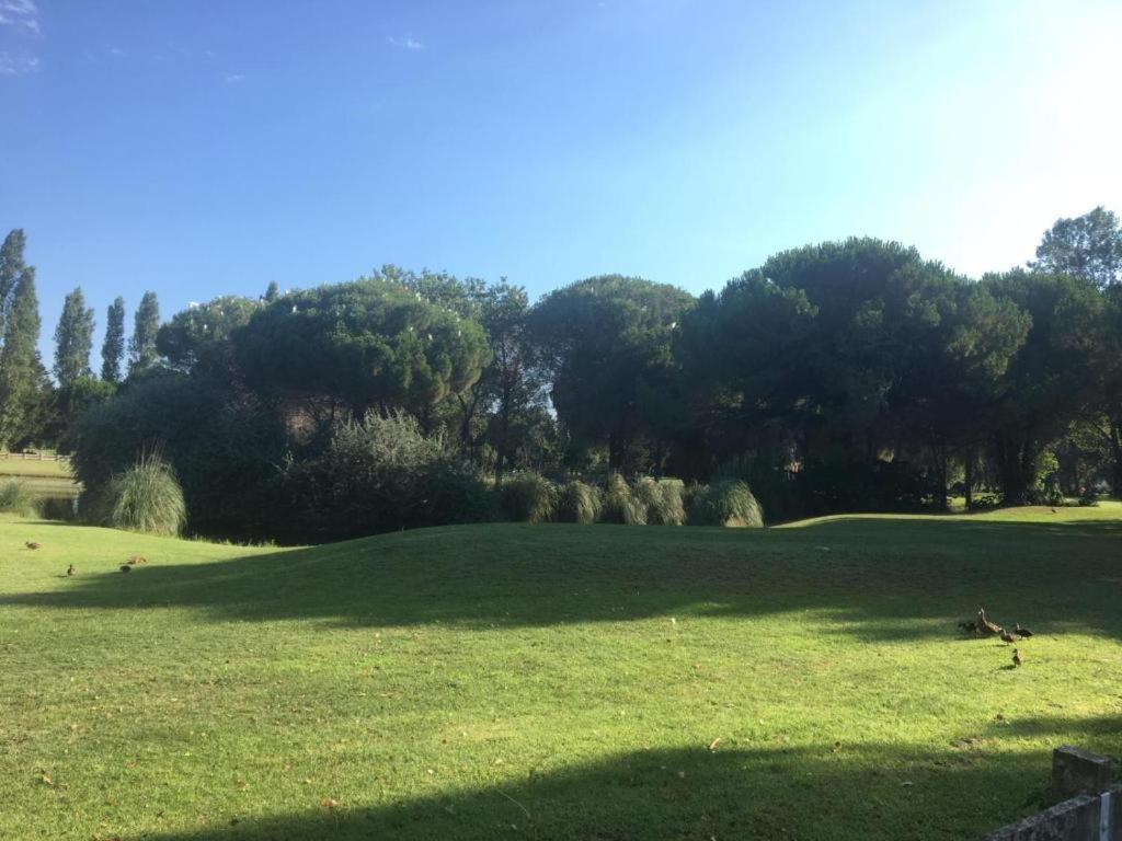 Ideal Appartement Au Calme Pres Du Golf 拉格朗德默特 外观 照片